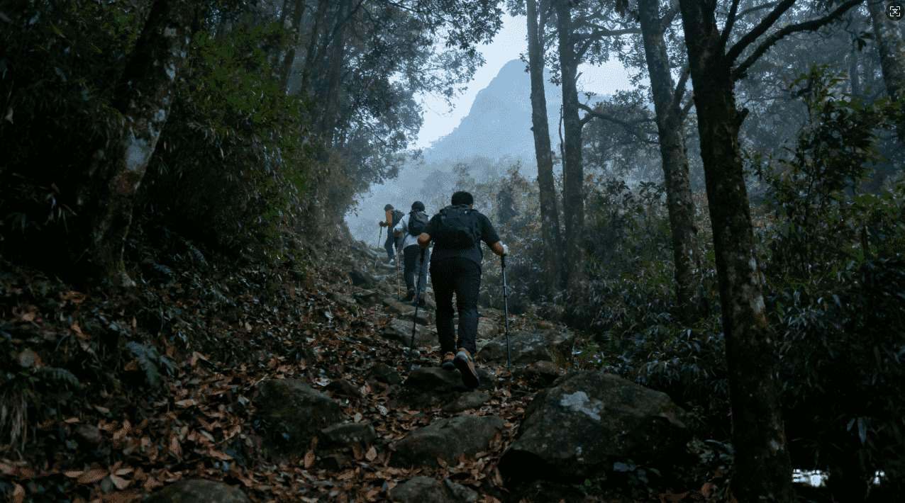 暴喵游戏加速器下载失败的常用修复方案